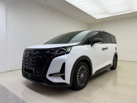 腾势D9 2024款 DM-i 980 四驱旗舰型