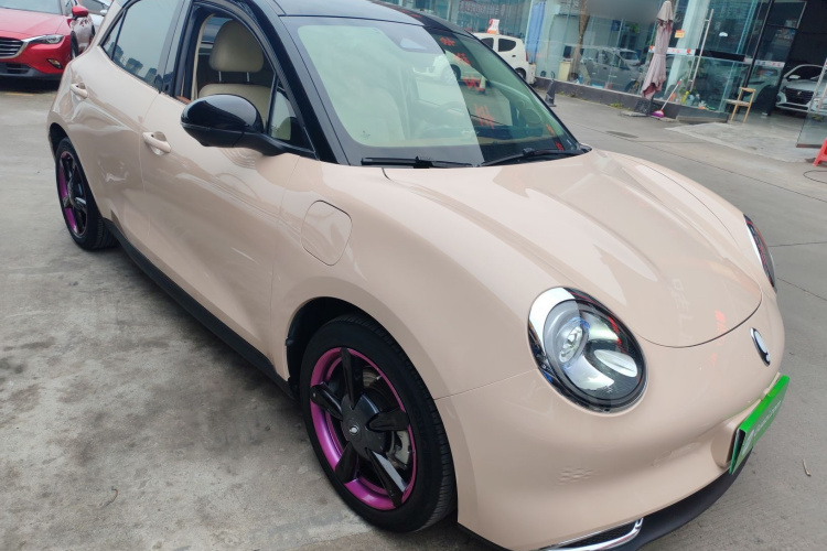 欧拉好猫 2022款 400km标准续航 豪华型 磷酸铁锂车身外观3