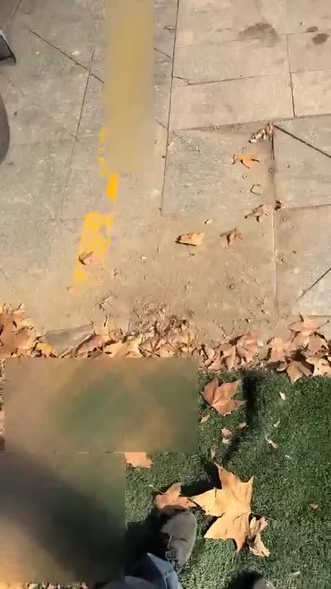 领克02 2018款 1.5T DCT两驱劲Pro版 国V讲解2