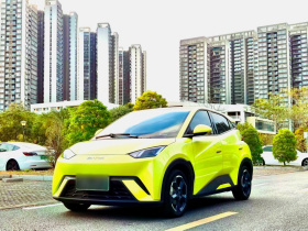 比亚迪 海鸥 2023款 飞翔版