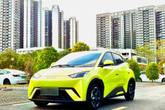 比亚迪 海鸥 2023款 飞翔版