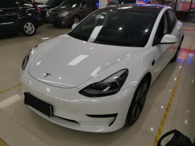 特斯拉 Model 3 2021款 标准续航后驱升级版 3D6