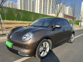 欧拉好猫 2021款 400km标准续航 雅典娜版 三元锂