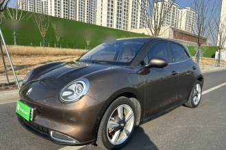 欧拉好猫 2021款 400km标准续航 雅典娜版 三元锂