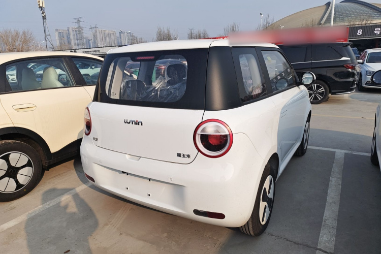 吉利银河 2024款 熊猫mini 200km 耐力熊车身外观6005