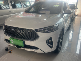 哈弗F7 2021款 1.5T 两驱i型