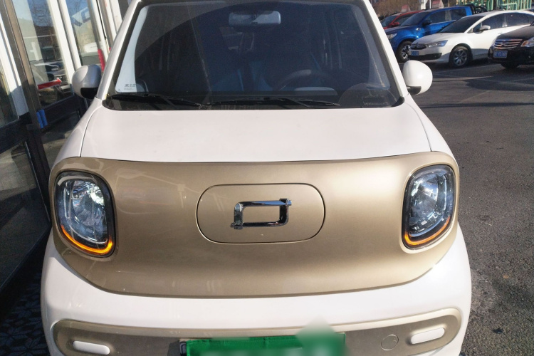 奔腾小马 2024款 170km 元气马车身外观2