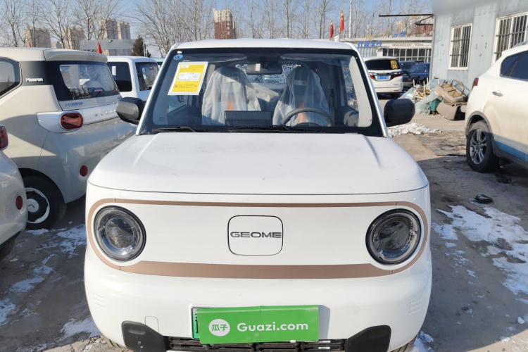 吉利银河 2024款 熊猫mini 200km 耐力熊车身外观6001