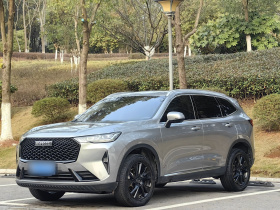 哈弗H6 2021款 第三代 2.0T 自动两驱Max