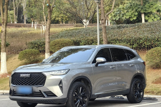 哈弗H6 2021款 第三代 2.0T 自动两驱Max