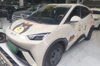 比亚迪 海鸥 2025款 305km 活力版