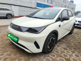 比亚迪 海豚 2025款 智驾版 420km 自由版