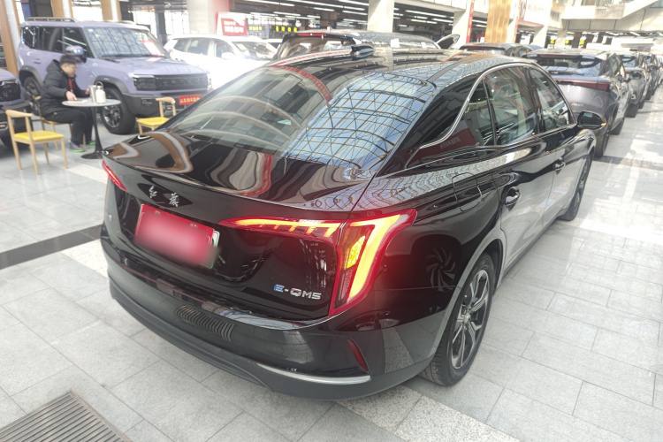 红旗E-QM5 2023款 改款 基础出行版车身外观7