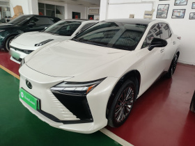 雷克萨斯RZ 2023款 450e 四驱纵领版