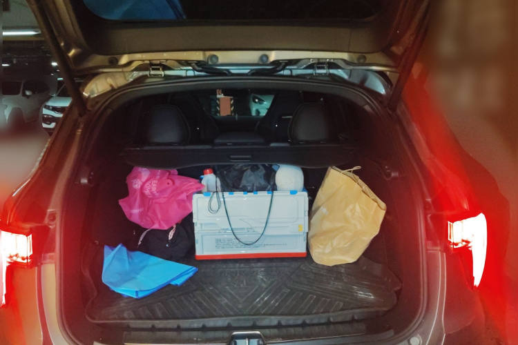 领克01 2021款 2.0TD 四驱劲Halo中控内饰23