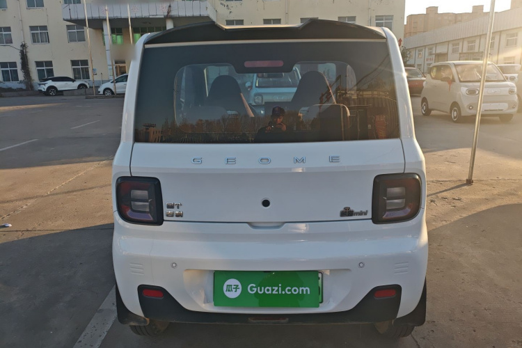 吉利银河 2024款 熊猫mini 200km 龙腾PRO版车身外观6