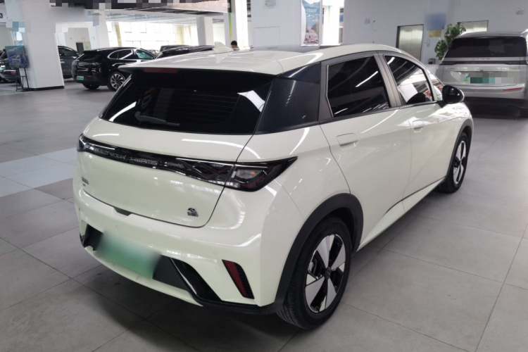 比亚迪 海豚 2023款 420km 自由版车身外观7