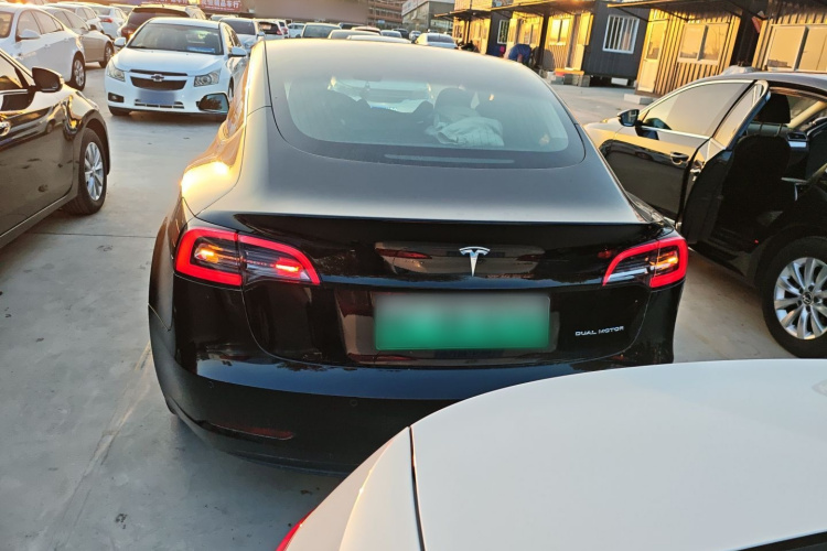 特斯拉 Model 3(进口) 2019款 长续航全轮驱动版车身外观6