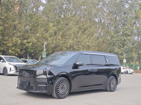 极氪009 2022款 WE版