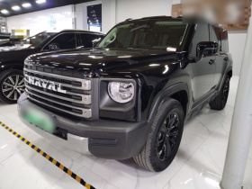 哈弗猛龙新能源 2024款 Hi4 145 穿越版