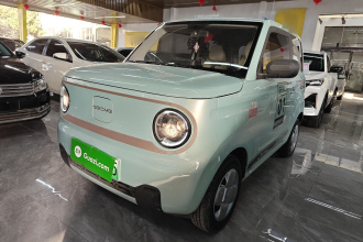 吉利银河 2024款 熊猫mini 200km 耐力熊