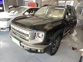 哈弗大狗 2024款 1.5T DCT边牧版