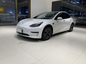 特斯拉 Model 3 2022款 后轮驱动版