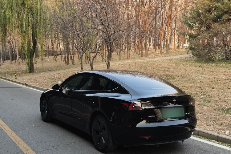 特斯拉 Model 3 2021款 改款 标准续航后驱升级版 3D1车身外观6004