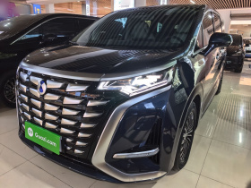 腾势D9 2022款 DM-i 1040 尊贵型