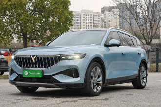 岚图汽车 岚图FREE 2021款 四驱增程首发纪念版专属豪华套装