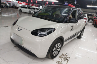 五菱汽车 五菱缤果 2023款 333km 悦享+款