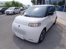 欧拉白猫 2020款 401km 旗舰型