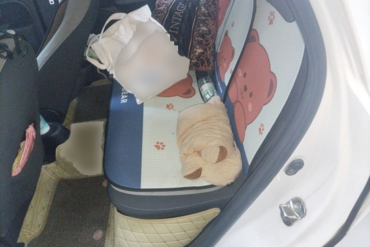 欧拉黑猫 2019款 351km 女神版中控内饰7004