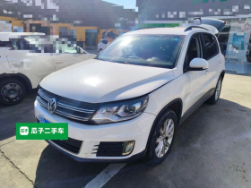 大众 途观 2017款 300TSI 自动两驱丝绸之路风尚版