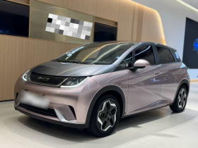 比亚迪 海豚 2021款 405km 时尚版