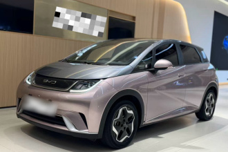 比亚迪 海豚 2021款 405km 时尚版