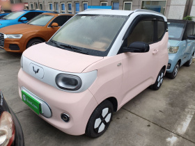 五菱汽车 宏光MINIEV 2024款 第三代 215km 进阶版