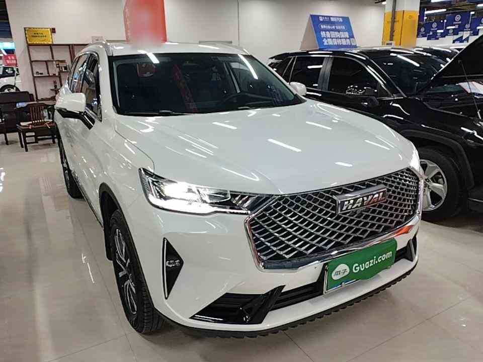 哈弗H6 2024款 1.5T 两驱经典版(5)