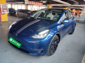 特斯拉 Model Y 2021款 长续航全轮驱动版