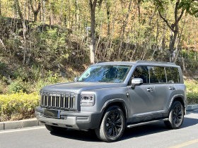 哈弗猛龙 2025款 2.0T 4WD Ultra