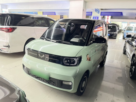 五菱汽车 宏光MINIEV 2022款 马卡龙臻享款 磷酸铁锂