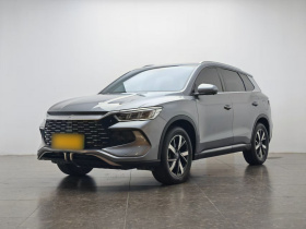 比亚迪 宋Pro新能源 2023款 冠军版 DM-i 71KM领先型