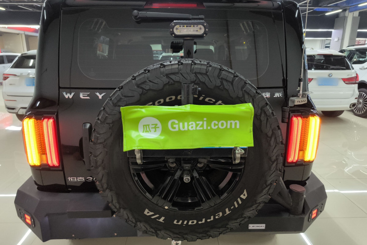 坦克300 2021款 越野版 2.0T 征服者车身外观6004