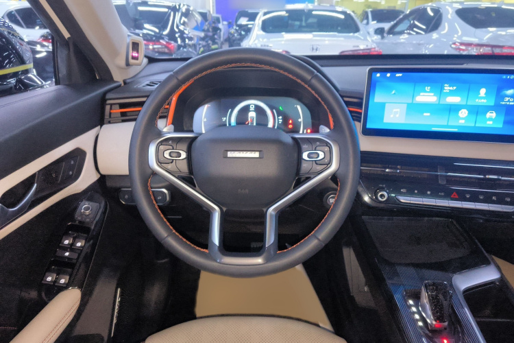 哈弗赤兔 2021款 激擎版 1.5T 铂金兔局部细节13