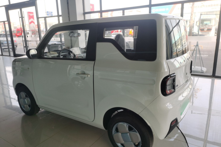 吉利银河 2024款 熊猫mini 200km 耐力熊车身外观4