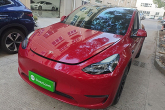 特斯拉 Model Y 2021款 长续航全轮驱动版