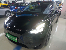 特斯拉 Model Y 2024款 后轮驱动版