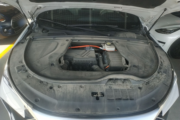 比亚迪 唐新能源 2024款 DM-p 冠军版 215KM 四驱旗舰型机舱底盘24