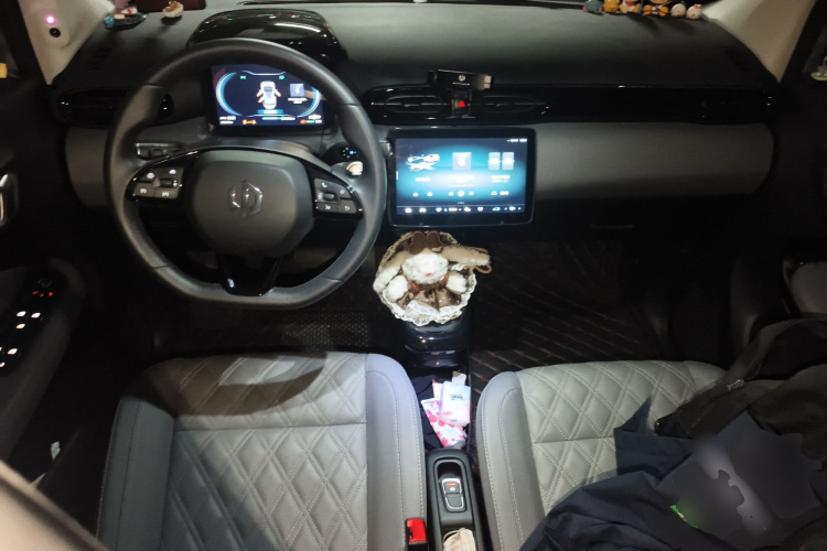 零跑汽车 零跑T03 2021款 400豪华版中控内饰12