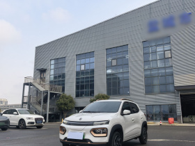 东风纳米 纳米BOX 2022款 轻风版 201KM 闪电型